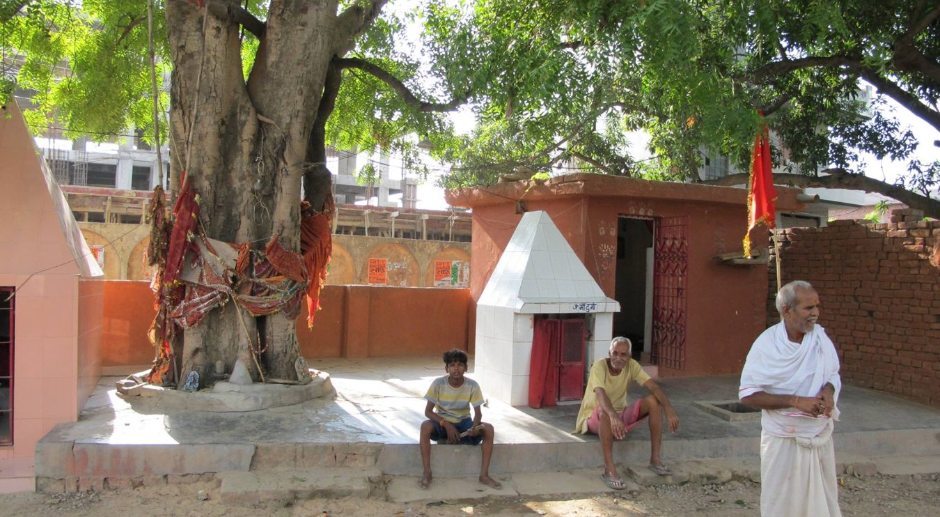 A temple complex with a tree, a tiny shrine and a medium-sized temple