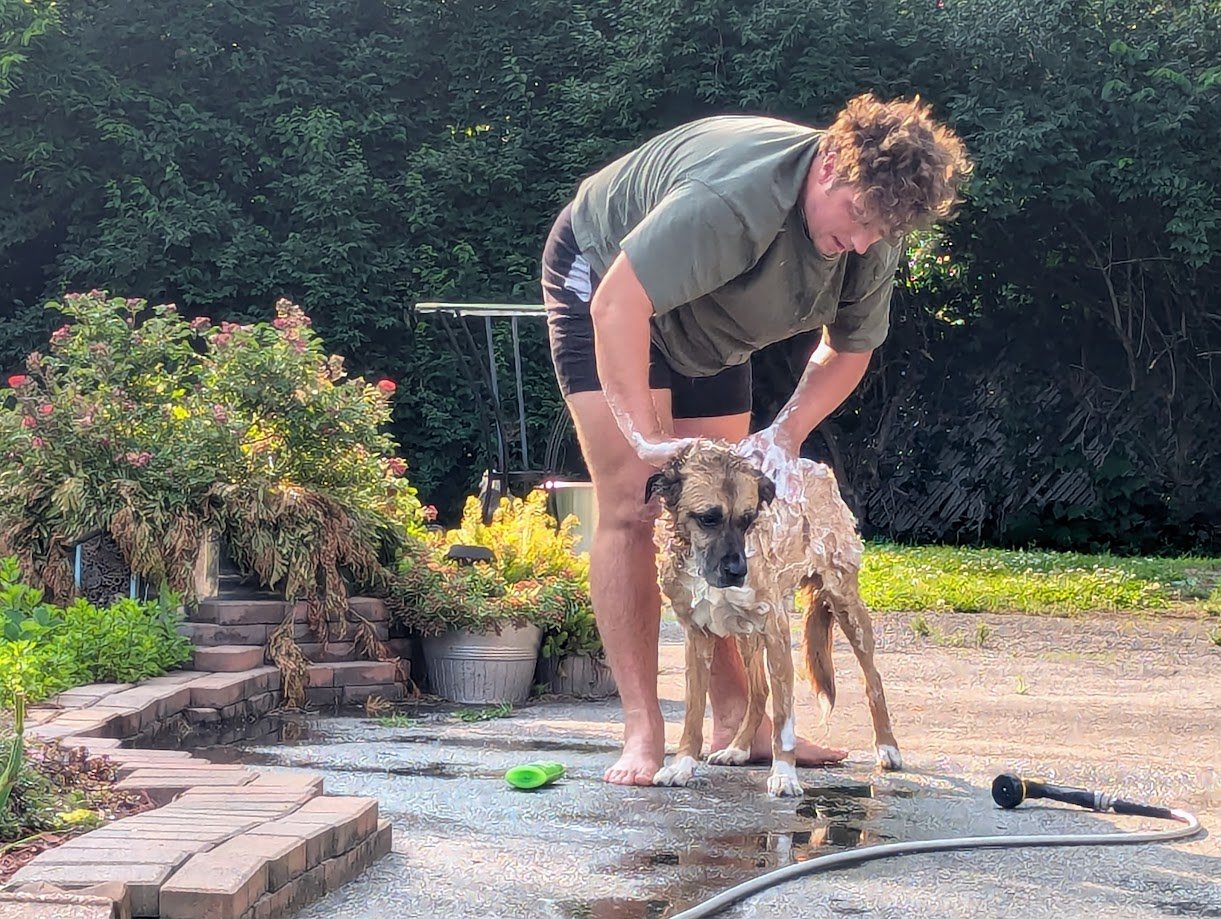 Washing my dog after a hike